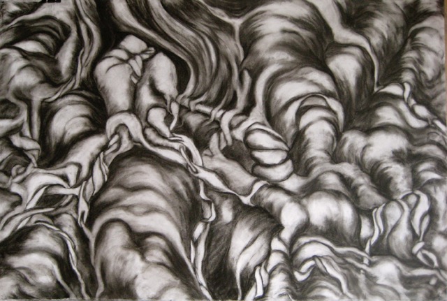 Charcoal Drawing Roots
